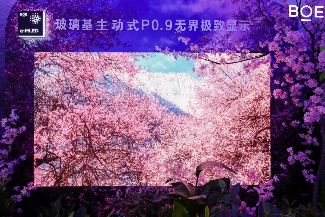 1698118482299974.jpg 3.jpg