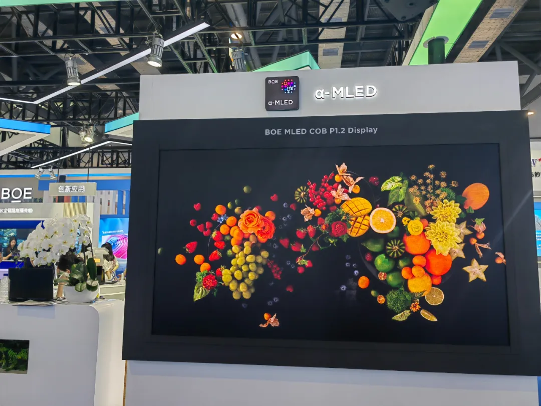 1718851917504418.jpg 4.jpg